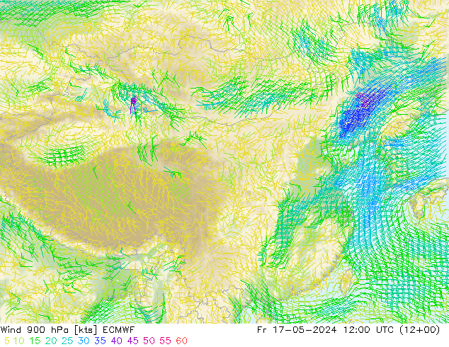 wiatr 900 hPa ECMWF pt. 17.05.2024 12 UTC