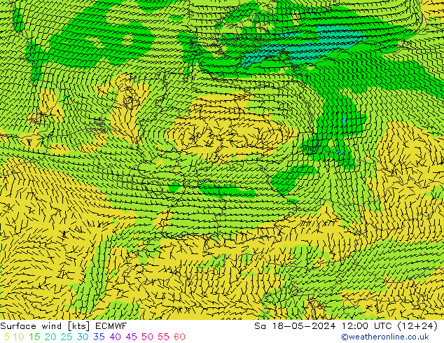 Surface wind ECMWF So 18.05.2024 12 UTC
