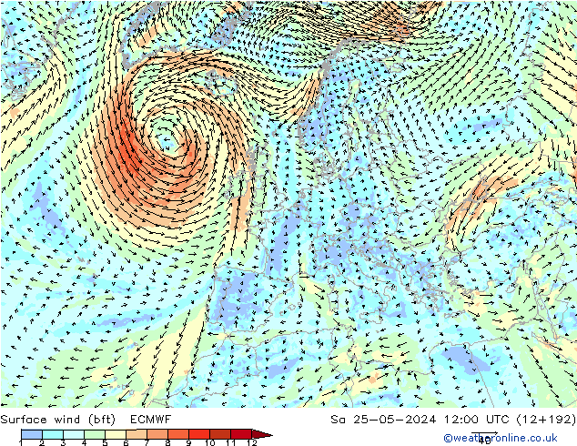 Bodenwind (bft) ECMWF Sa 25.05.2024 12 UTC