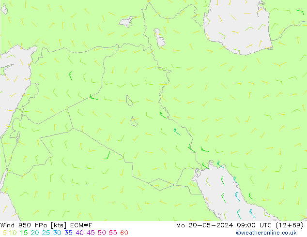 wiatr 950 hPa ECMWF pon. 20.05.2024 09 UTC