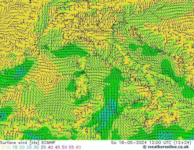   18.05.2024 12 UTC