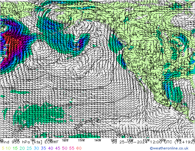 Wind 950 hPa ECMWF So 25.05.2024 12 UTC