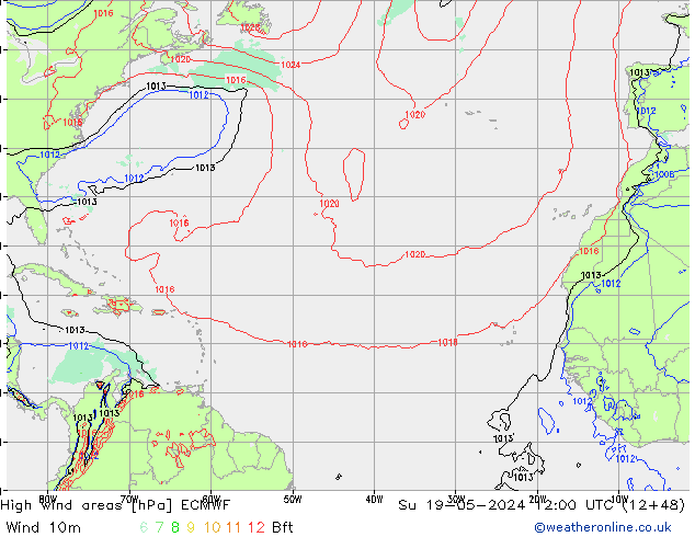 High wind areas ECMWF Вс 19.05.2024 12 UTC