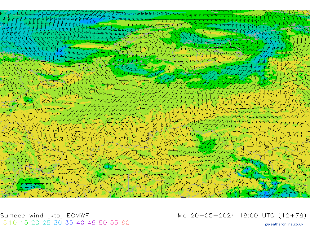 Vento 10 m ECMWF lun 20.05.2024 18 UTC