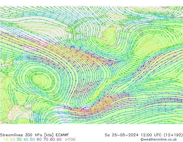 Rüzgar 300 hPa ECMWF Cts 25.05.2024 12 UTC