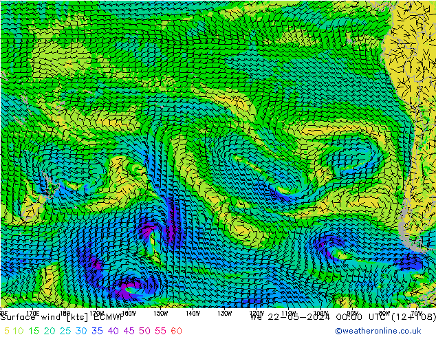 Wind 10 m ECMWF wo 22.05.2024 00 UTC