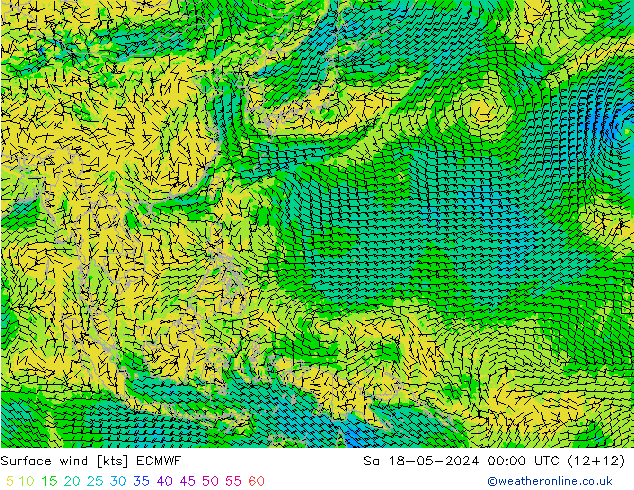 Prec 6h/Wind 10m/950 ECMWF sam 18.05.2024 00 UTC