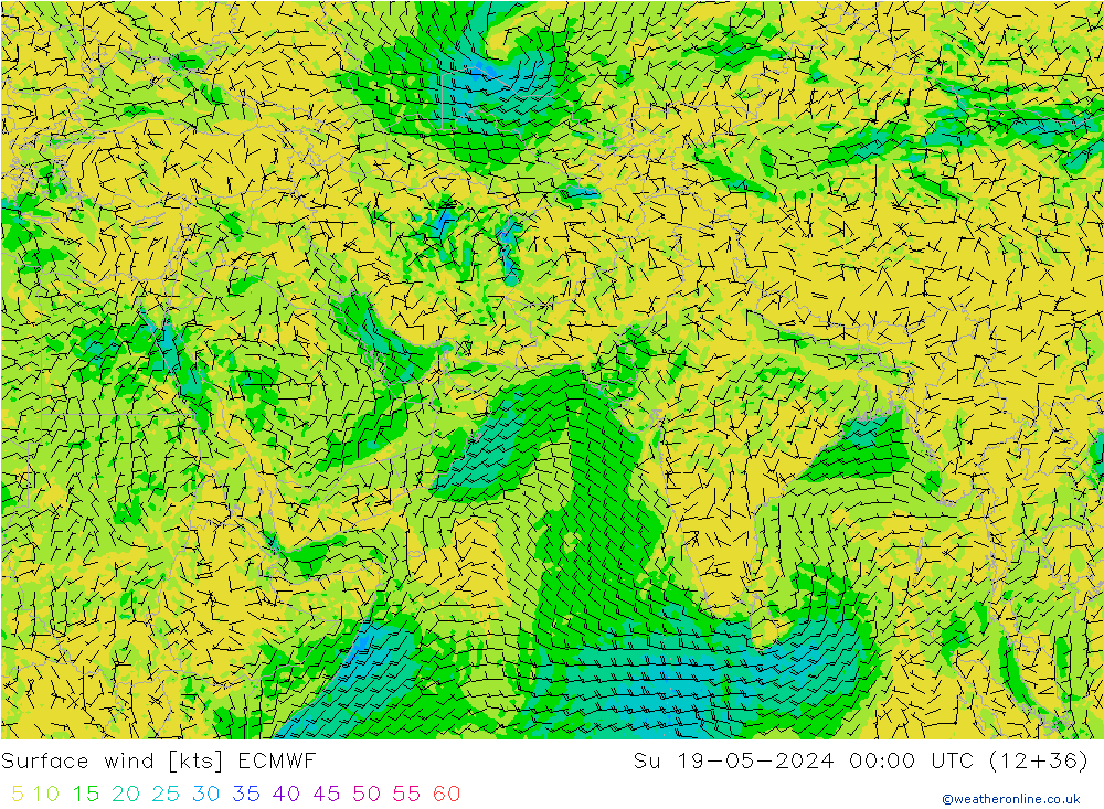 Prec 6h/Wind 10m/950 ECMWF dom 19.05.2024 00 UTC