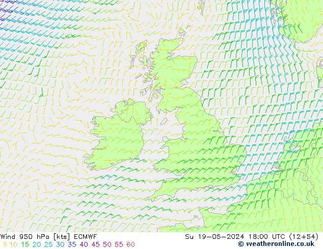 Wind 950 hPa ECMWF Su 19.05.2024 18 UTC