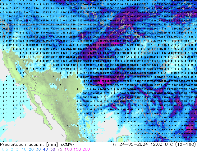 Precipitation accum. ECMWF пт 24.05.2024 12 UTC