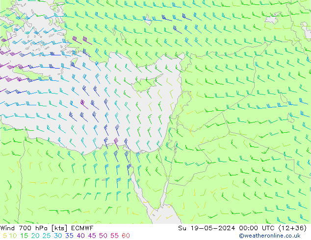  700 hPa ECMWF  19.05.2024 00 UTC