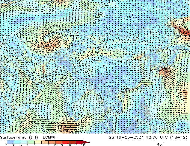 Surface wind (bft) ECMWF Su 19.05.2024 12 UTC