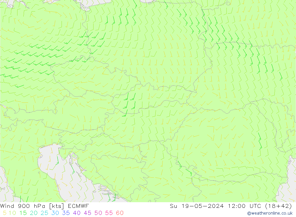 Wind 900 hPa ECMWF zo 19.05.2024 12 UTC