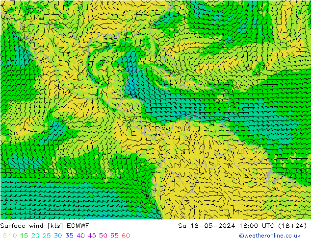 Surface wind ECMWF Sa 18.05.2024 18 UTC