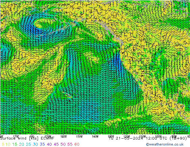 Surface wind ECMWF Tu 21.05.2024 12 UTC