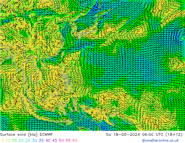 Prec 6h/Wind 10m/950 ECMWF sab 18.05.2024 06 UTC