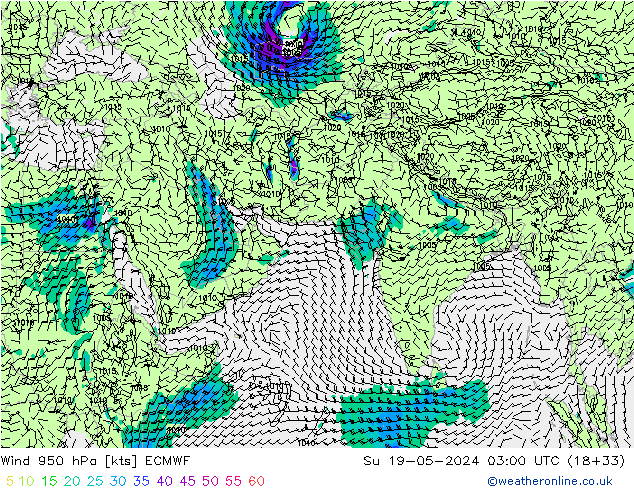Wind 950 hPa ECMWF Su 19.05.2024 03 UTC