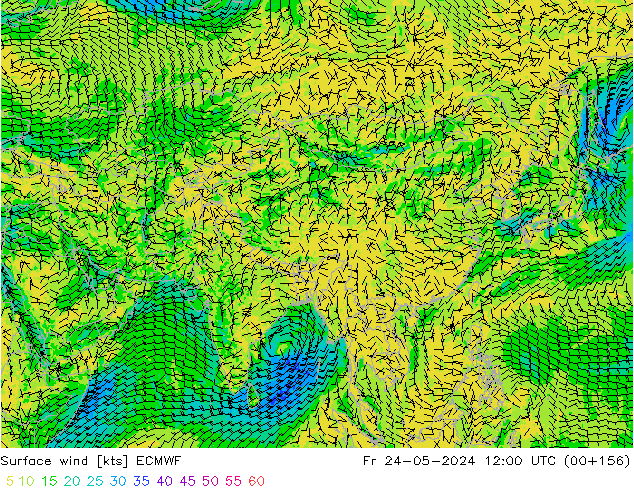 Wind 10 m ECMWF vr 24.05.2024 12 UTC