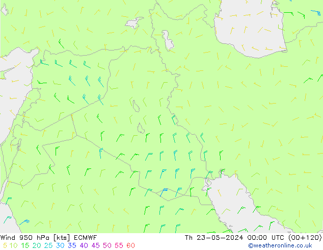 wiatr 950 hPa ECMWF czw. 23.05.2024 00 UTC
