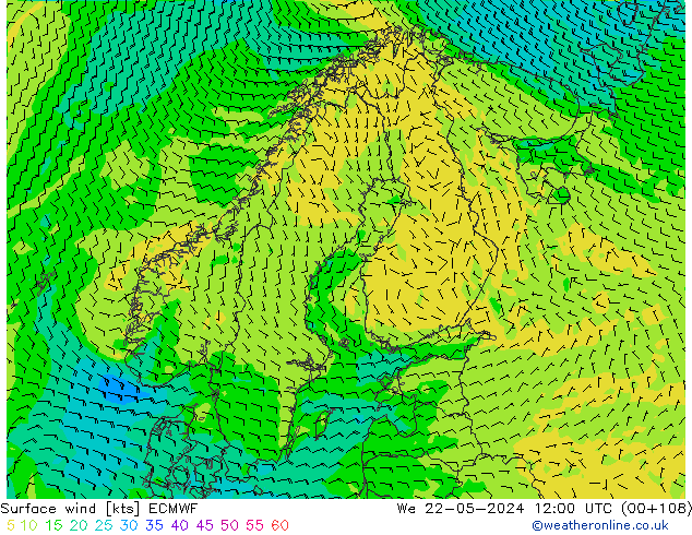 Surface wind ECMWF We 22.05.2024 12 UTC