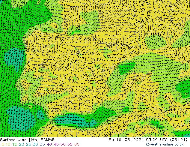 Surface wind ECMWF Su 19.05.2024 03 UTC
