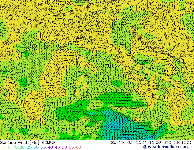 Surface wind ECMWF Ne 19.05.2024 15 UTC