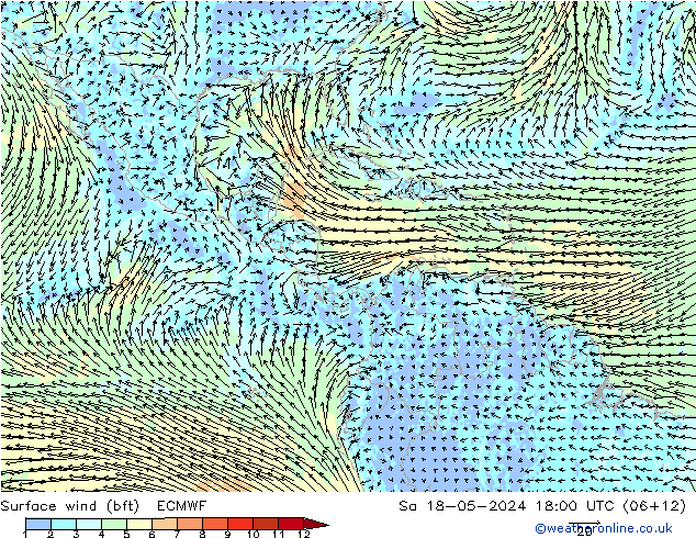 Surface wind (bft) ECMWF Sa 18.05.2024 18 UTC