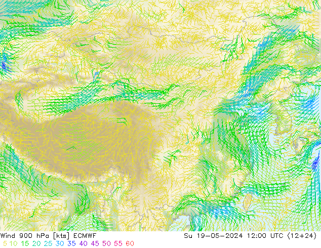 风 900 hPa ECMWF 星期日 19.05.2024 12 UTC
