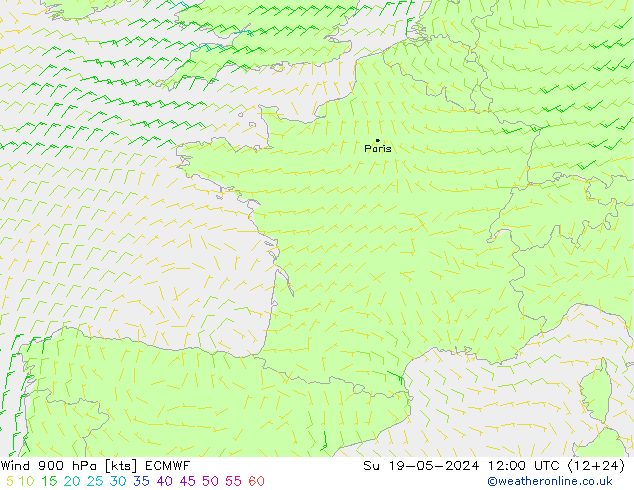 Wind 900 hPa ECMWF Su 19.05.2024 12 UTC