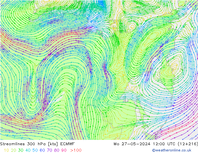 Rüzgar 300 hPa ECMWF Pzt 27.05.2024 12 UTC