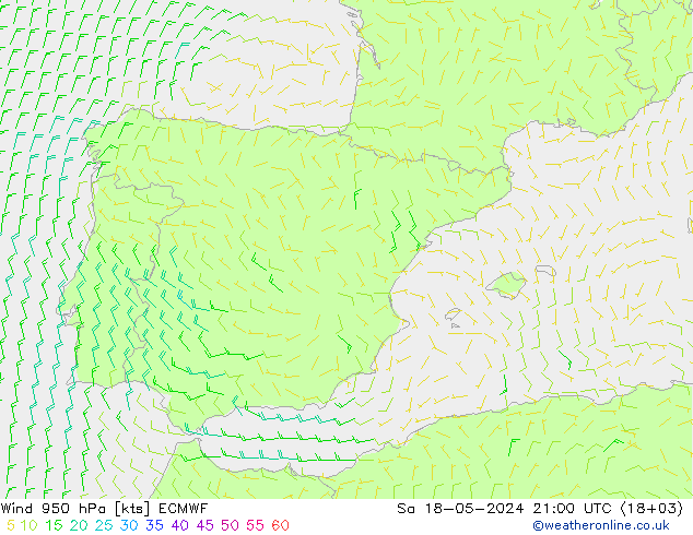 Wind 950 hPa ECMWF za 18.05.2024 21 UTC