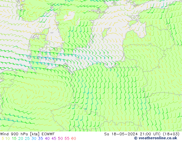 Wind 900 hPa ECMWF Sa 18.05.2024 21 UTC
