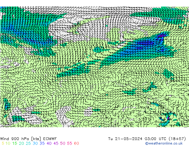 Wind 900 hPa ECMWF Tu 21.05.2024 03 UTC