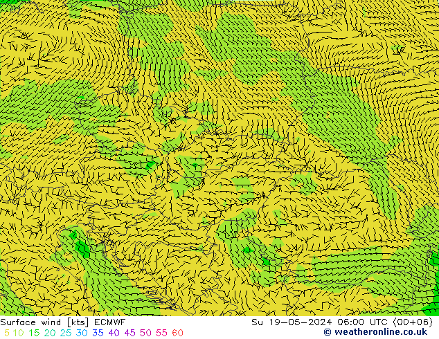 Prec 6h/Wind 10m/950 ECMWF Ne 19.05.2024 06 UTC