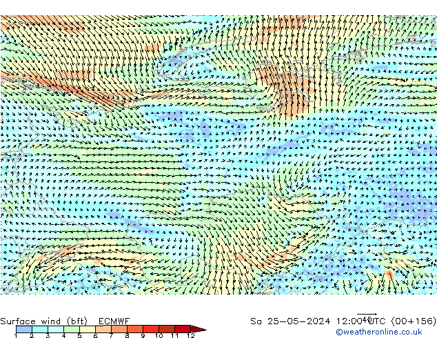 wiatr 10 m (bft) ECMWF so. 25.05.2024 12 UTC