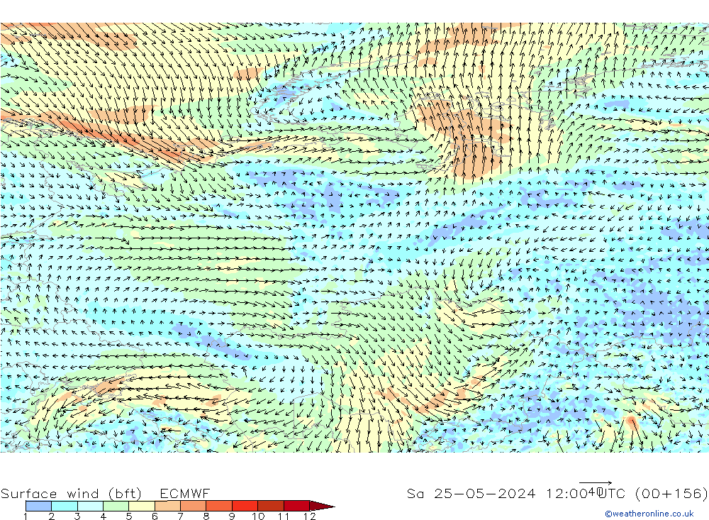 wiatr 10 m (bft) ECMWF so. 25.05.2024 12 UTC