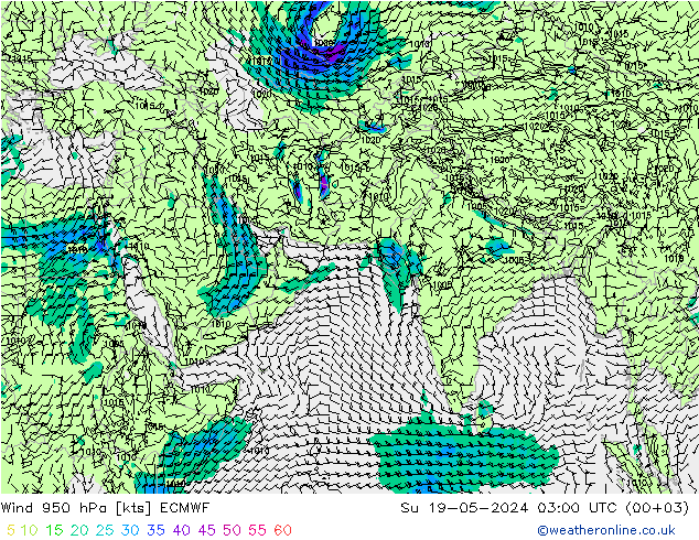 风 950 hPa ECMWF 星期日 19.05.2024 03 UTC