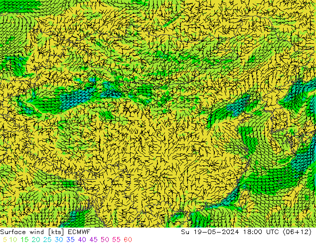 风 10 米 ECMWF 星期日 19.05.2024 18 UTC
