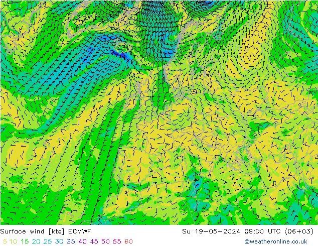 风 10 米 ECMWF 星期日 19.05.2024 09 UTC