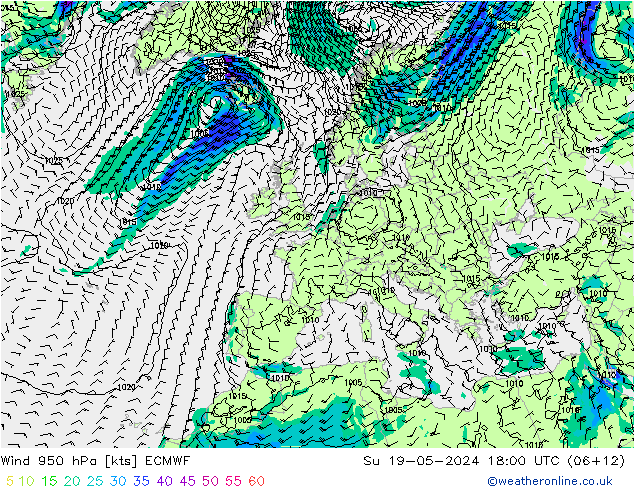 Wind 950 hPa ECMWF So 19.05.2024 18 UTC