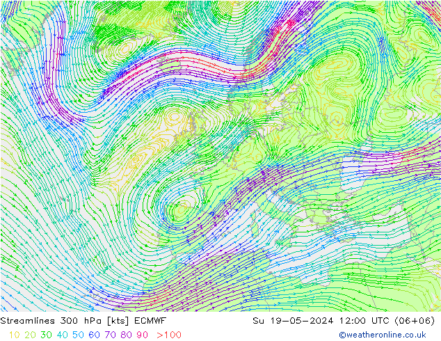 ветер 300 гПа ECMWF Вс 19.05.2024 12 UTC
