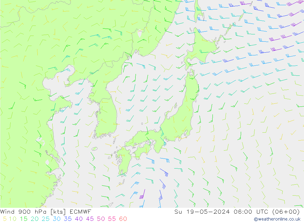 Wind 900 hPa ECMWF zo 19.05.2024 06 UTC