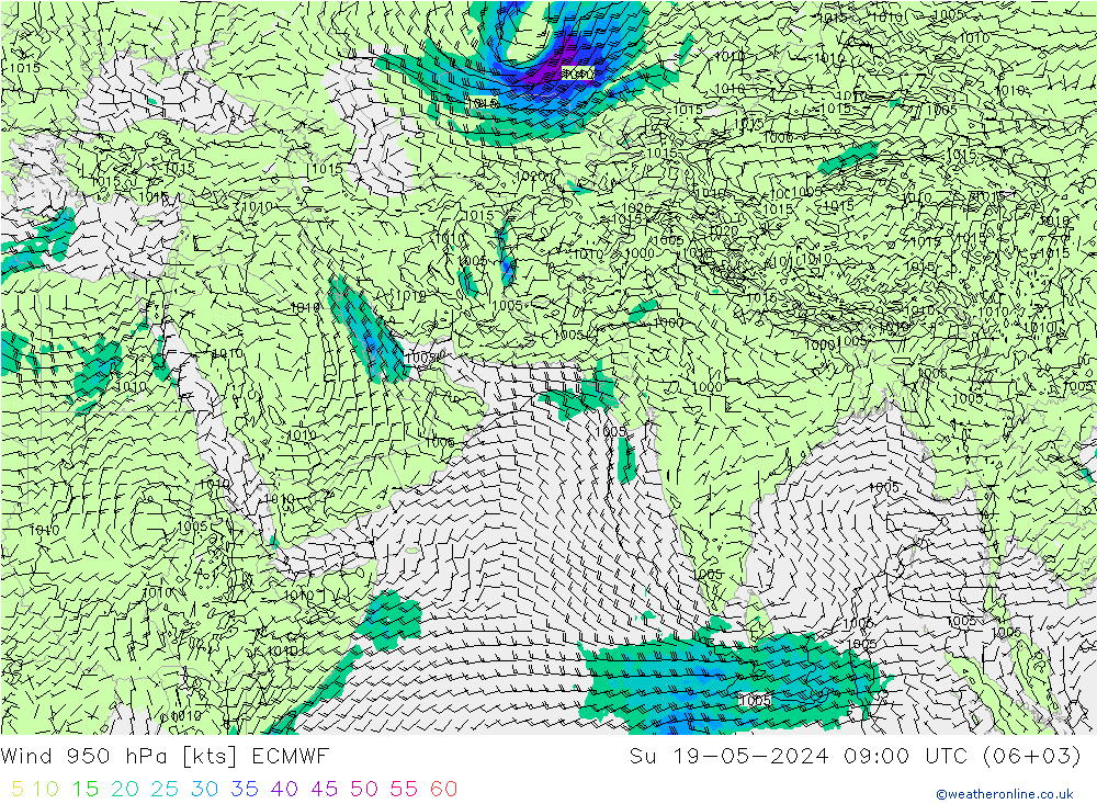 风 950 hPa ECMWF 星期日 19.05.2024 09 UTC