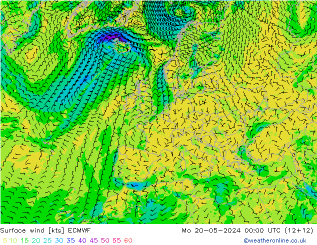 Bodenwind ECMWF Mo 20.05.2024 00 UTC