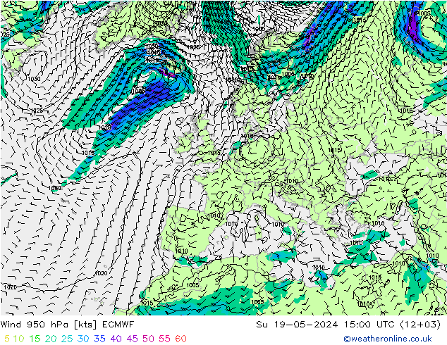 风 950 hPa ECMWF 星期日 19.05.2024 15 UTC