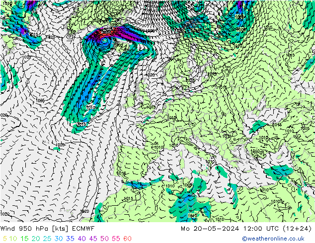 风 950 hPa ECMWF 星期一 20.05.2024 12 UTC