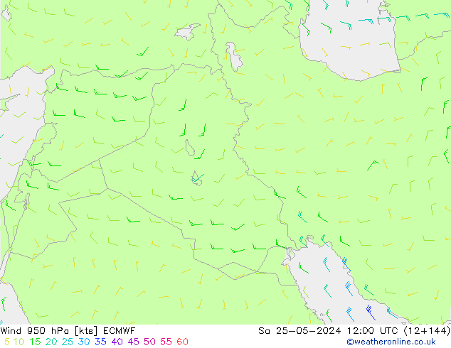Wind 950 hPa ECMWF Sa 25.05.2024 12 UTC