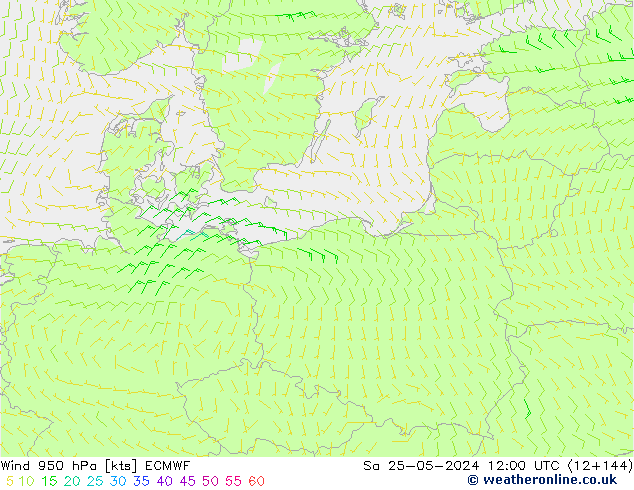 Rüzgar 950 hPa ECMWF Cts 25.05.2024 12 UTC