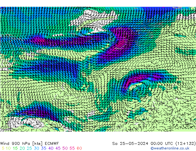 Wind 900 hPa ECMWF Sa 25.05.2024 00 UTC