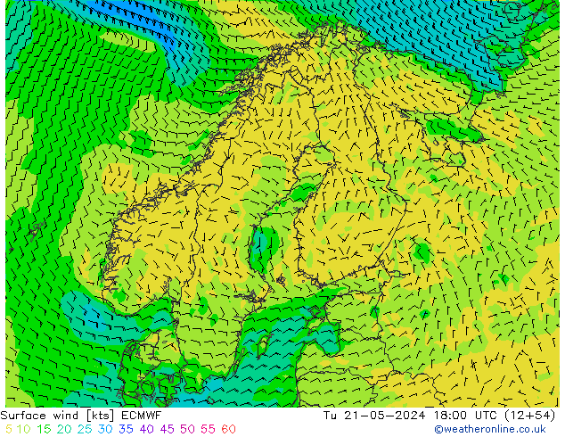 Vento 10 m ECMWF Ter 21.05.2024 18 UTC